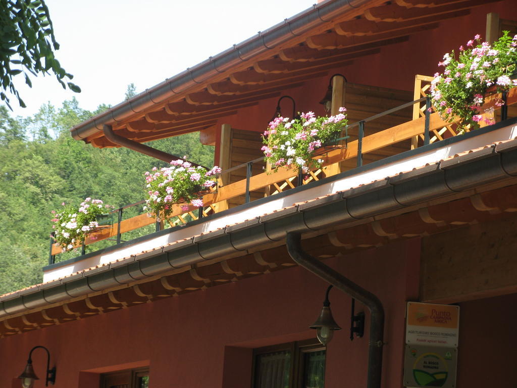 Villa Bosco Romagno à Cividale del Friuli Chambre photo